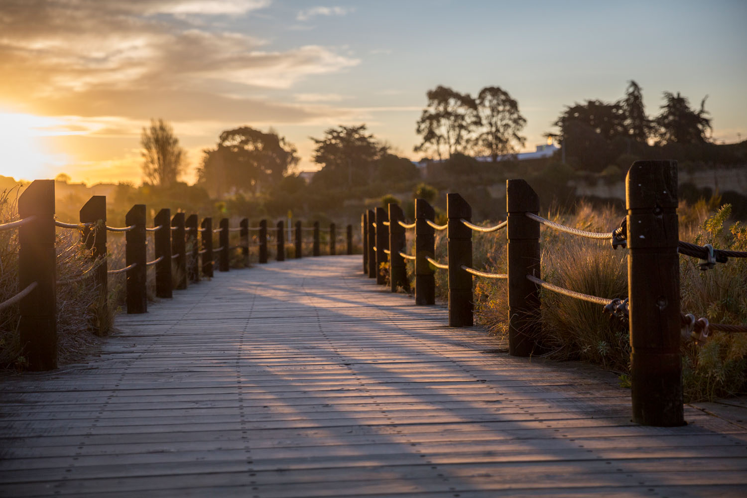 Caroline Bay boardwalk