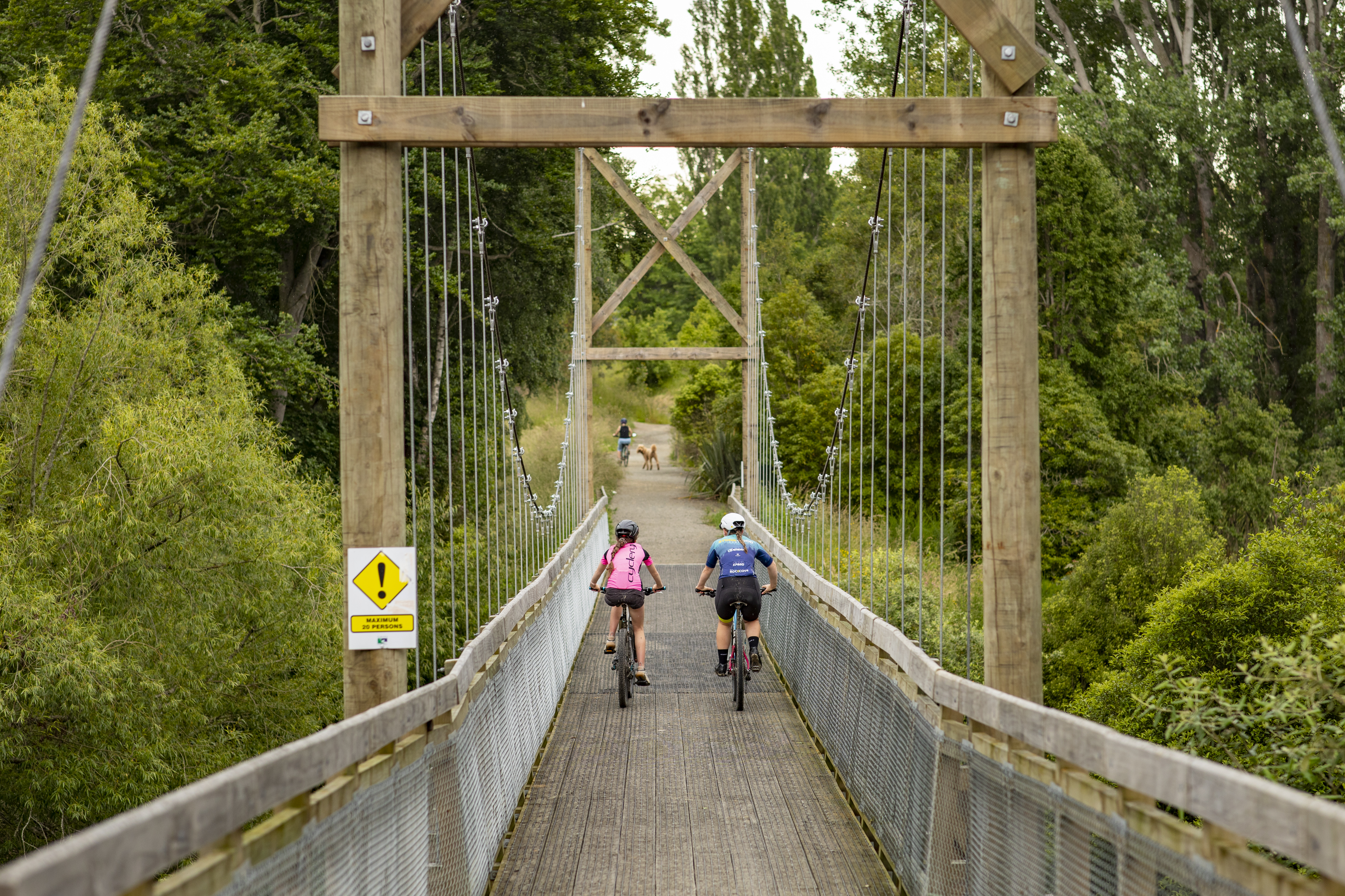 Youth on bikes riding over bridge in Scenic Reserve