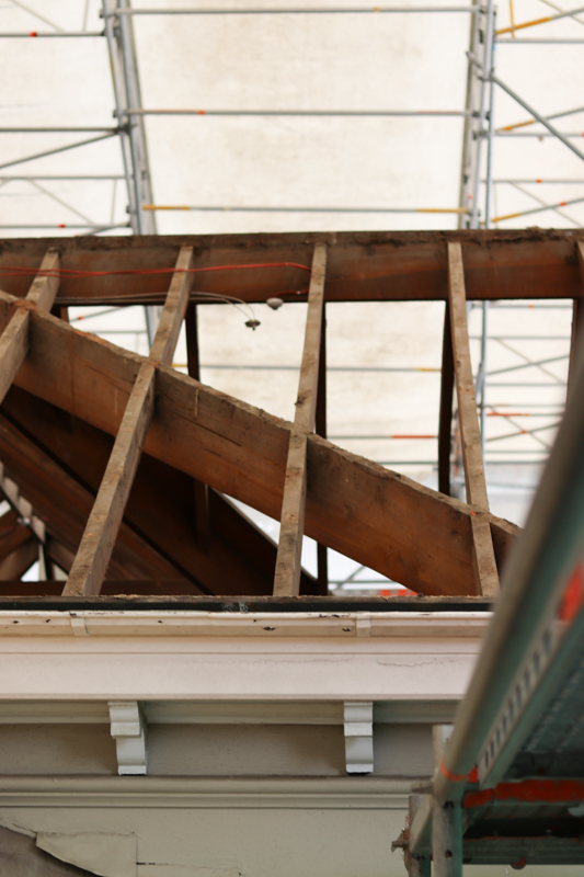 the bones through the roof - Aigantighe