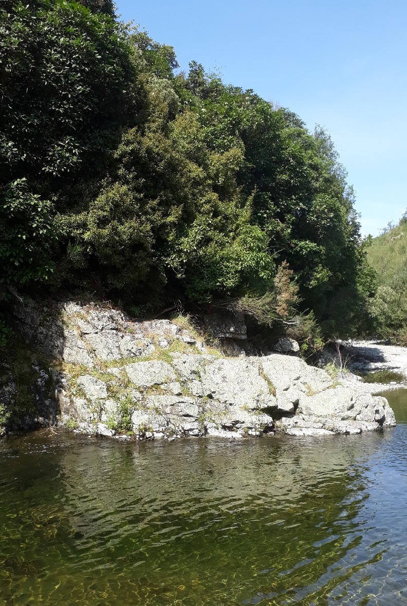 Te Moana Gorge Timaru District Council