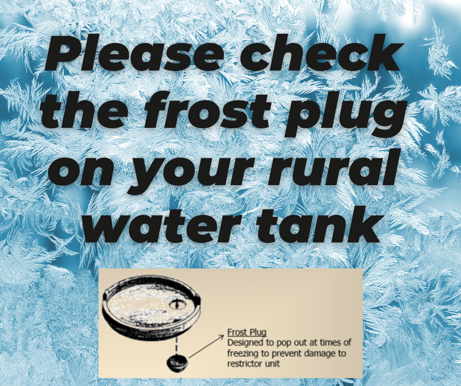 Frost plug