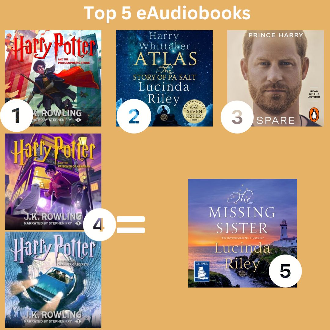 Top 5 audio books of 2023