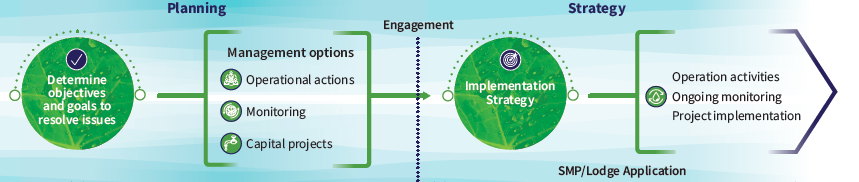 SMP process timeline