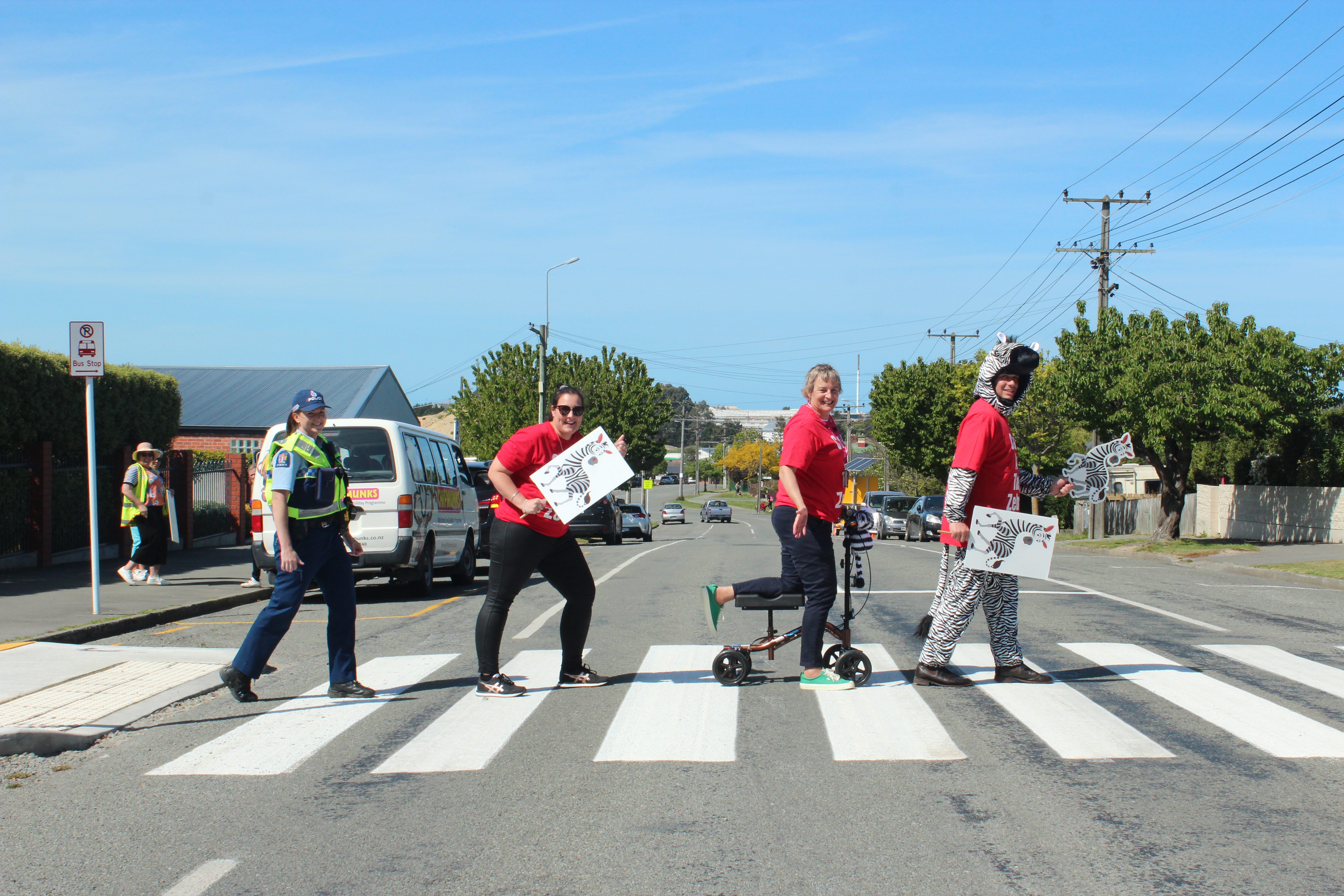 Representatives from Project Zebra organisations walking across a school zebra crossing - led by National Party MP-Elect for Rangitata James Meager dressed as mascot Zephyr the Zebra. Source: Timaru District Council. 