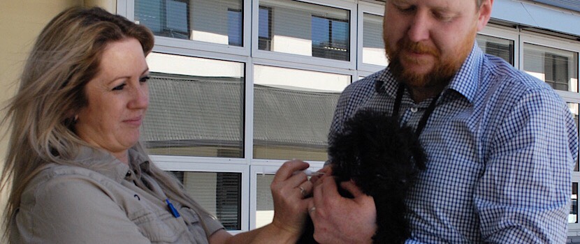 News item thumbnail image. 