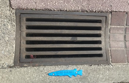 Clean stormwater drain with blue fish